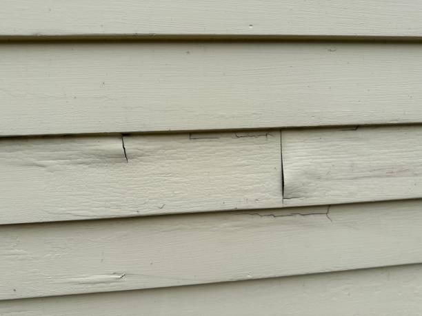 Best Shed Removal  in Guntown, MS